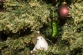 Hiding the Christmas Pickle in the Christmas Tree