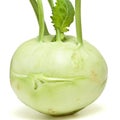 German Turnip