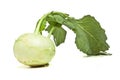 German Turnip