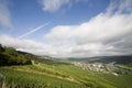 German vineyard Royalty Free Stock Photo