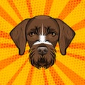 German Wirehaired Pointer. Huntind dog. Drachhaar. Vector Illustration. Dog Portrait.