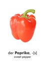 German word card: Paprika (sweet pepper