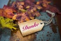 German word 'Danke' (thank you) on wood with leaves
