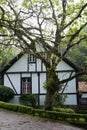 Germanic-style house with tree in front