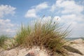Germany, Baltic Sea, beach dune and marram g