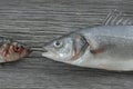 Germany, Bavaria, Ammersee, Sea bass and mackerel fish on wooden surface