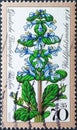 GERMANY, Berlin - CIRCA 1978: a postage stamp from Germany, Berlin showing an ajuga plant on a charity donation postal stamp