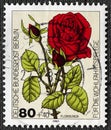 Germany, Berlin - circa 1982 : postage stamp Germany West Berlin 1982 Garden Roses Floribunda red rose, circa 1982