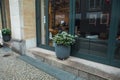 Germany, Berlin, street, restaurant, French windows, flower pots