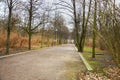 Germany. Berlin. Tiergarten is a park in the city center.. February 17, 2018