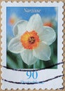 GERMANY - CIRCA 2006 : a postage stamp from Germany, showing a European flower: daffodil