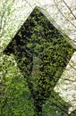 Crucifix with fresh budding branches in the foreground