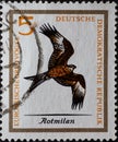 GERMANY, DDR - CIRCA 1965 : a postage stamp from Germany, GDR showing a European red kite bird of prey, Milvus milvus
