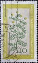 GERMANY, DDR - CIRCA 1960 : a postage stamp from Germany, GDR showing a flowering native medicinal plant a real chamomile, Matric