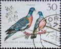 GERMANY, DDR - CIRCA 1968: a postage stamp from Germany, GDR showing small game: Wood pigeons