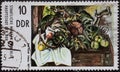 GERMANY, DDR - CIRCA 1974 : a postage stamp from Germany, GDR showing a still life with sunflowers and quinces; Ronald Paris born Royalty Free Stock Photo