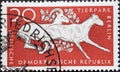 GERMANY, DDR - CIRCA 1956 : a postage stamp from Germany, GDR showing two Ladak wild sheep Ovis ammon vignei. Buck and goat. Ber