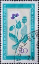 GERMANY, DDR - CIRCA 1960 : a postage stamp from Germany, GDR showing a flowering native medicinal plant the opium poppy, Papaver