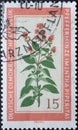 GERMANY, DDR - CIRCA 1960 : a postage stamp from Germany, GDR showing a flowering native medicinal plant the peppermint, Mentha p