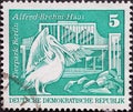 GERMANY, DDR - CIRCA 1974 : a postage stamp from Germany, GDR showing a pelican in front of a cage in Berlin Zoo