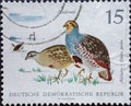 GERMANY, DDR - CIRCA 1968: a postage stamp from Germany, GDR showing small game: Partridges