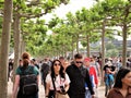 Germany, DÃÂ¼sseldorf, Dusseldorf, Rhine promenade, May 21, 2022, 403 pm, Japan Day festival of the Japanese people, despite the