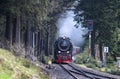 GERMANY, HARZ. Steam train coming out of the forest