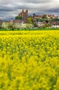 Germany MÃÂ¼nster Deutschland Spring FrÃÂ¼hling Landscape City Stadt Rhein Breisach am Rhein Royalty Free Stock Photo