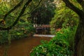 Germany - Peaceful Little Stream in the City - Baden Baden