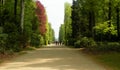 Germany, Potsdam, Sanssouci Park, Hauptallee