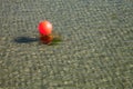 Germany, Schleswig-Holstein, Baltic Sea, buoy on water