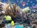 Germany Sealife 