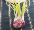 Germinated onion