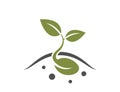 germinated sprout icon. sprouted seeds from the ground. planting and agriculture symbol. isolated vector image