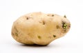 Germination of potatoes