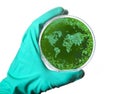 Germs in the shape of the world in a petri dish.(series)