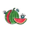 Germs on watermelon