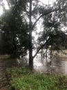 Flood: Georges River