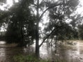 Flood: Georges River