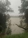 Flood: Georges River