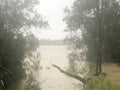 Flood: Georges River