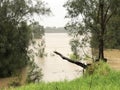 Flood: Georges River