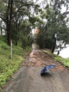 Flood: Georges River