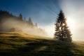 Geroldsee field during autumn day, Bavarian Alps, Bavaria, Germany.