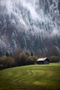 Geroldsee forest during autumn day with first snow and fog, Bavarian Alps, Bavaria, Germany.