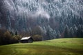 Geroldsee forest during autumn day with first snow and fog over trees, Bavarian Alps, Bavaria, Germany.