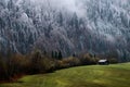 Geroldsee forest during autumn day with first snow and fog over trees, Bavarian Alps, Bavaria, Germany. Royalty Free Stock Photo