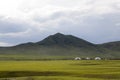 Gers on the Steppes Royalty Free Stock Photo