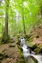 Gertelbach Waterfalls