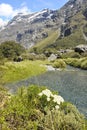 Gertrude Seddle in New Zealand Royalty Free Stock Photo